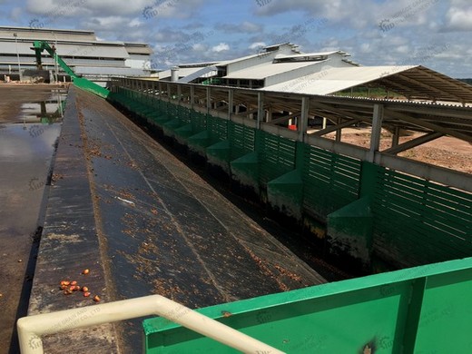 Traitement de l’huile de palme de vente chaude à la machine à huile de palme de vente chaude RBD